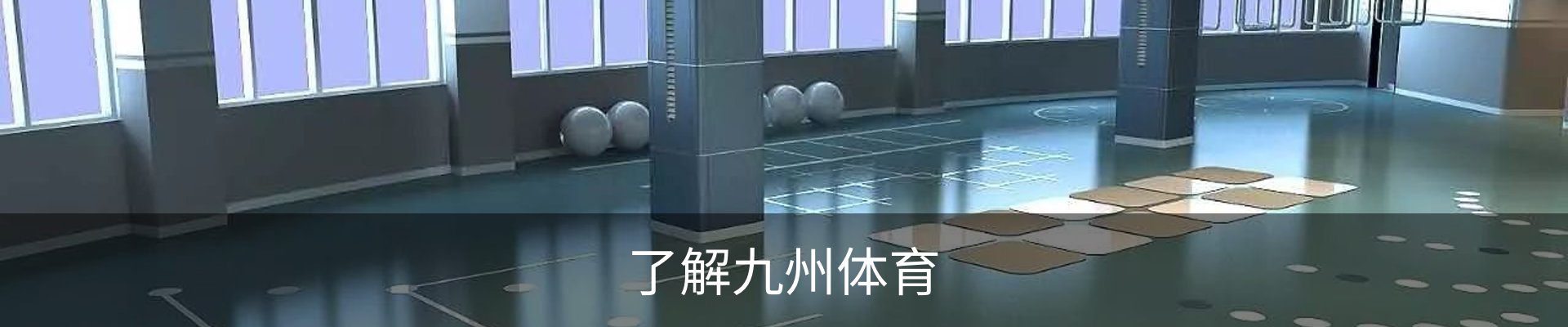 了解九州体育